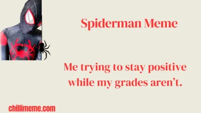 Spiderman Meme