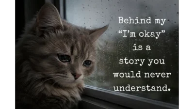 Sad Cat Meme Captions