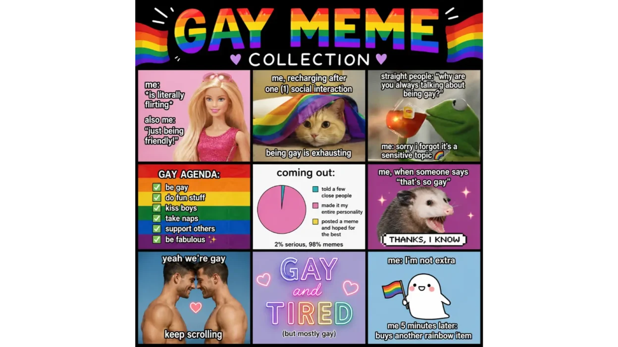 Gay Meme Collection
