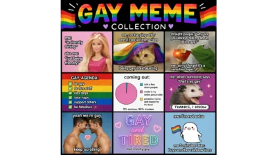 Gay Meme Collection