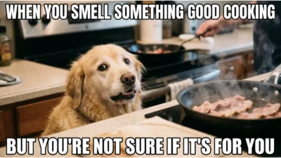 Cooked Dog Meme