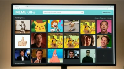 Meme GIFs