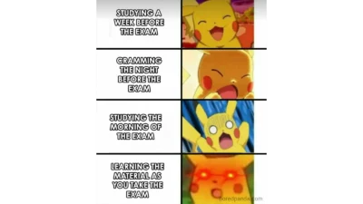 Pikachu Meme Captions